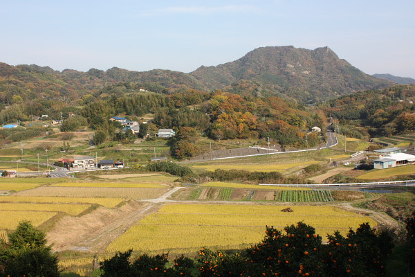 12月上旬の二月跨いだお便り