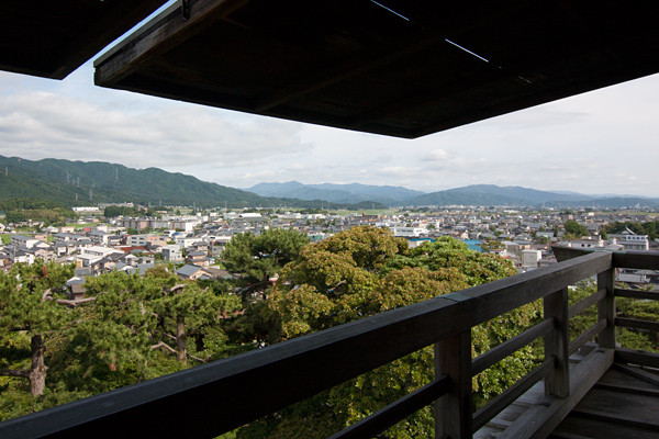 6月下旬の足元から