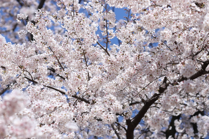 2019年4月最後の日に。