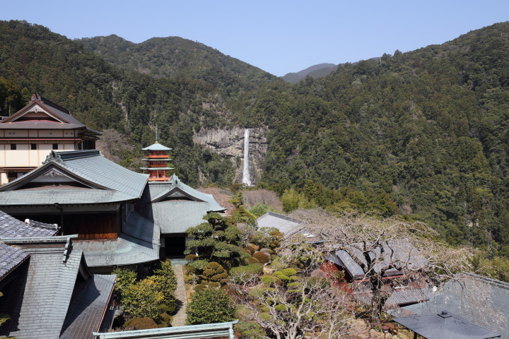 ３月下旬、南紀への旅と都の花見散歩