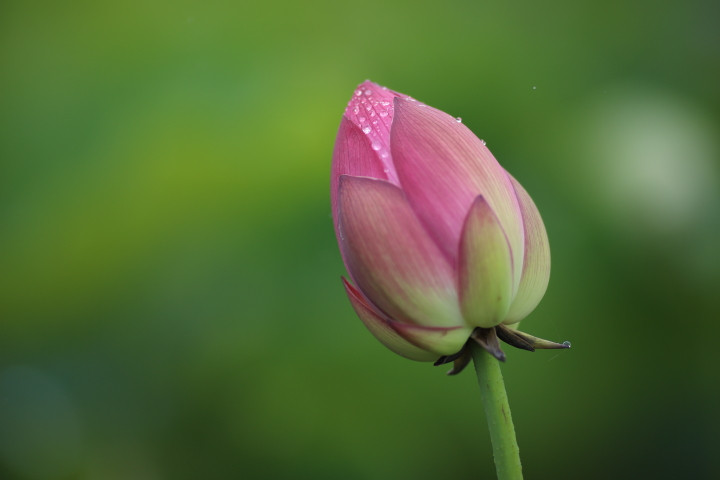 2019年7月の雨の中で。