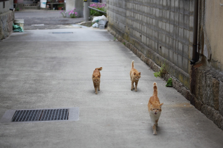 2019年4月最後の日に。
