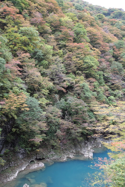 10月下旬の初めまして小町さん