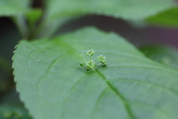 5月中旬の夏を感じる晴れの日に