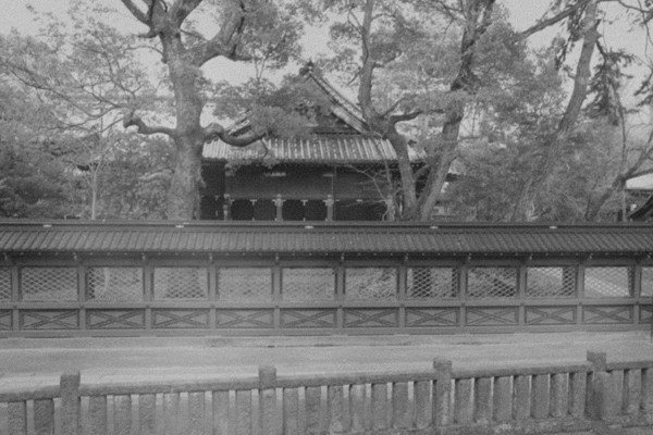 3月中旬の根津