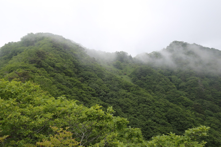 7月上旬、梅雨の2000メートル弱