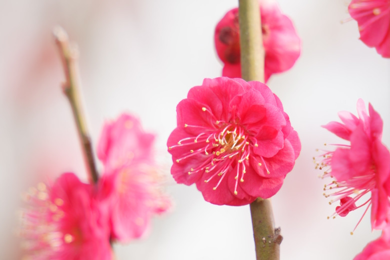 2月下旬の夏の暑さの一日に