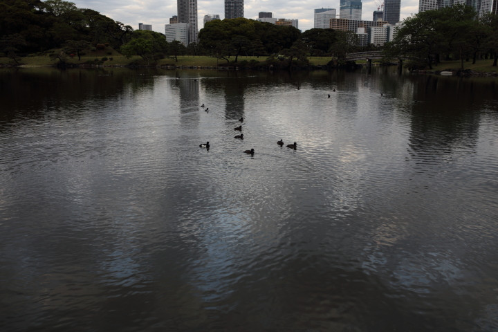 5月上旬、気の抜けた晴れた午前に