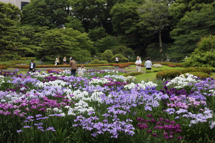 6月中旬、扇風機に涼しさ感じる一日に。