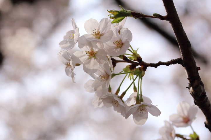 2019年4月最後の日に。