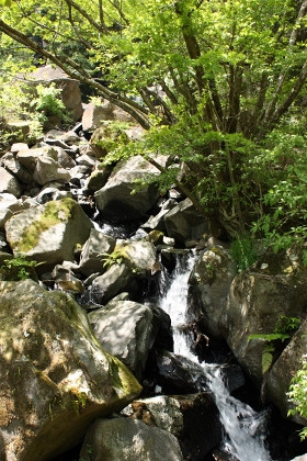 5月始めの緑がまぶしい土日曜日に