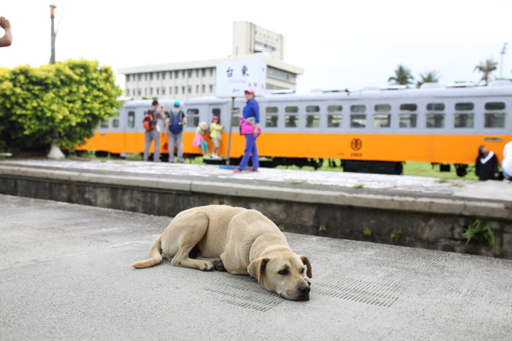 5月中旬の南国旅行