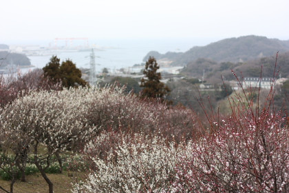 4月下旬、桜の季節を通り越してまぶしい緑の季節に