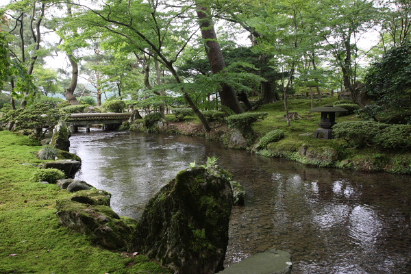 6月下旬の足元から