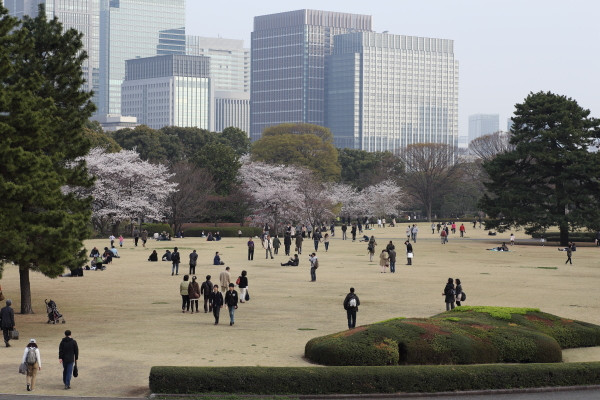３月下旬、南紀への旅と都の花見散歩