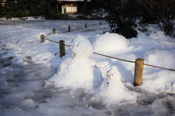 1月中旬、降雪のあとの冷たい夜に