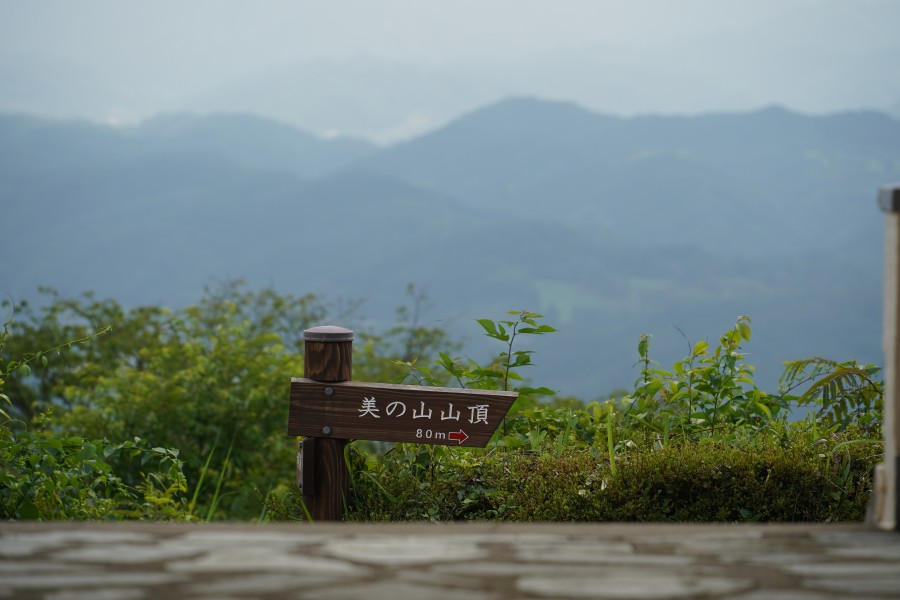 美の山道標