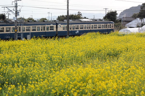 2月中旬、和田浦への旅