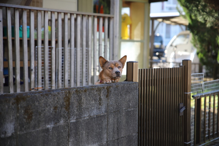 7月上旬のひとこと