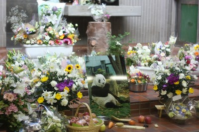 5月上旬の人ごみの中の休日